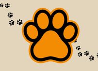PAWS Parent Meeting image