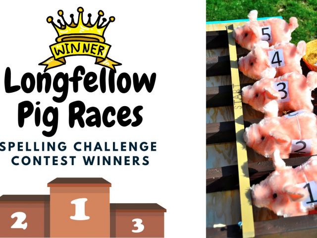 Spelling Challenge/Pig Races image