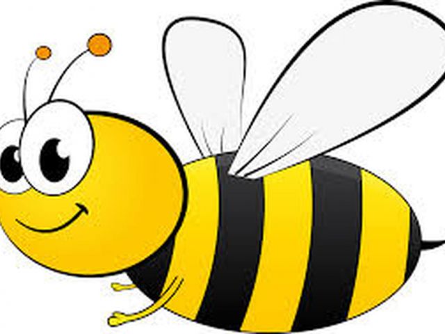 Adams County Spelling Bee image
