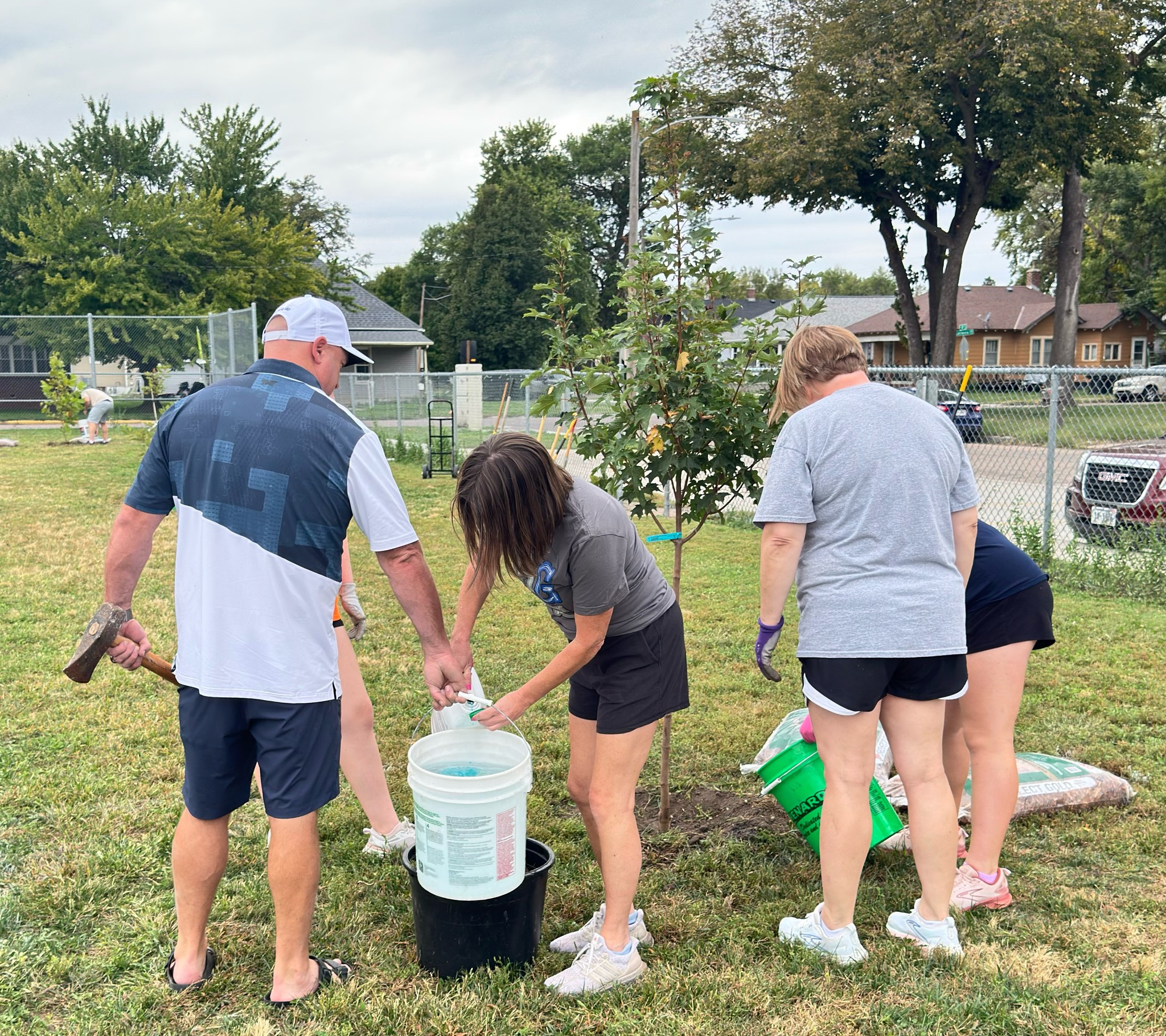 alcott tree planting