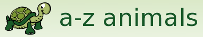 A-Z Animals logo